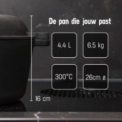 Daumonet Ducasse Gietijzeren Double Use Braadpan - Combi Sudderpan Zwart - 2-in-1 Bak- En Braadpan - PFAS & PFOA Vrij - Rond - Ø 26 Cm - 4,4 Liter - Emaille - Alle Warmtebronnen - Elektrisch - Gas - Halogeen - Inductie - Keramisch -Greenpan Winkel 1200x1200 1068