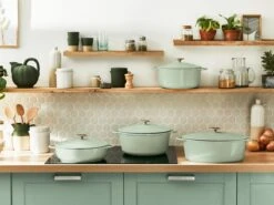 Tefal LOV Braadpan - 5L - Ø25 Cm - Groen -Greenpan Winkel 1200x900 46